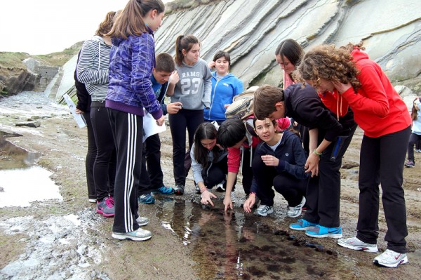 flysch800