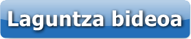 bideo-laguntza